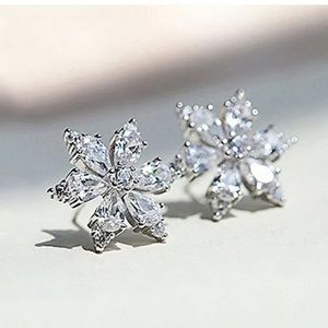 Elegant Cubic Zirconia 925 Silver Stud Earrings